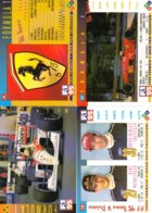 Formula 1995 Cards