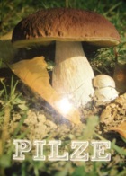 Pilze unserer Heimat (Gloria-Verlag)