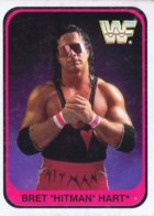 WWF Wrestling Trading Cards 1991 (Merlin)