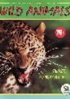 Wild Animals - Tougaroo
