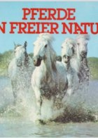 Pferde in freier Natur (Ferrero)