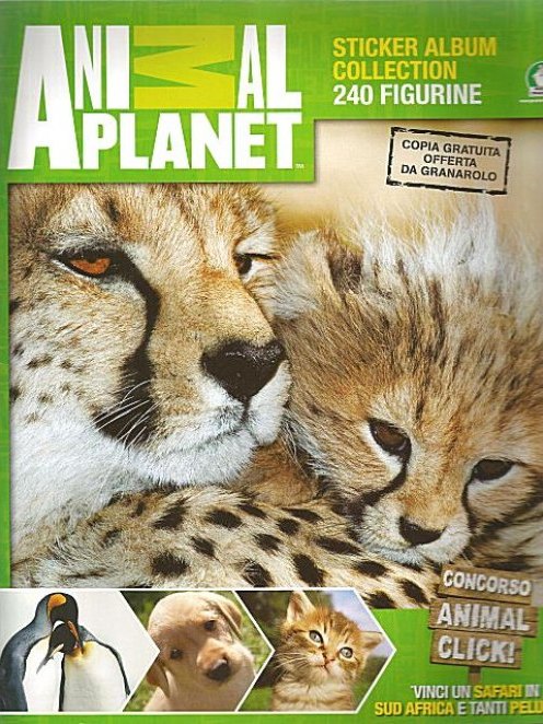 what is the cutest animal on the planet
