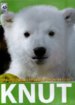 Knut (Preziosi)