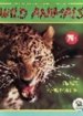 Wild Animals - Tougaroo